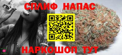 ешки Бийск
